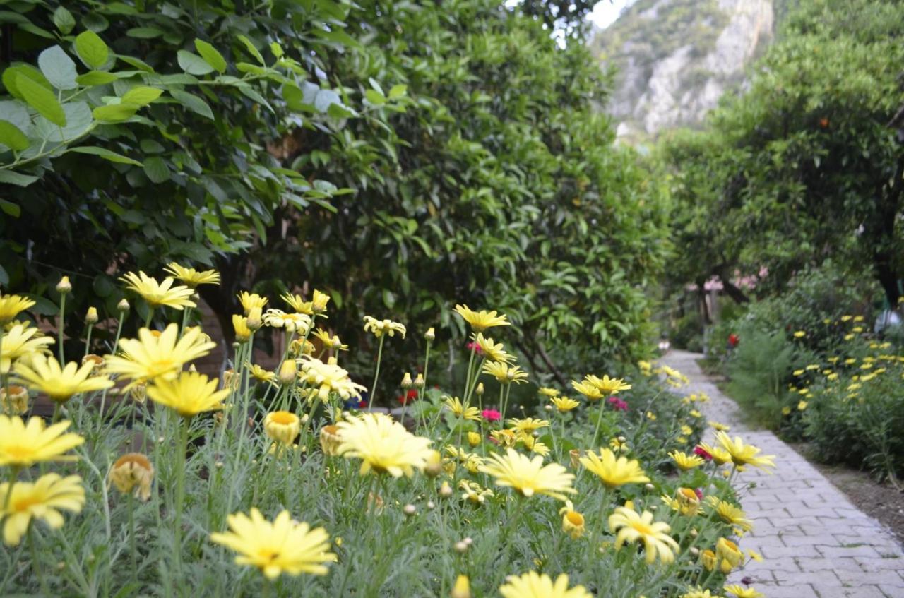 Mercan Pension Olympos Luaran gambar