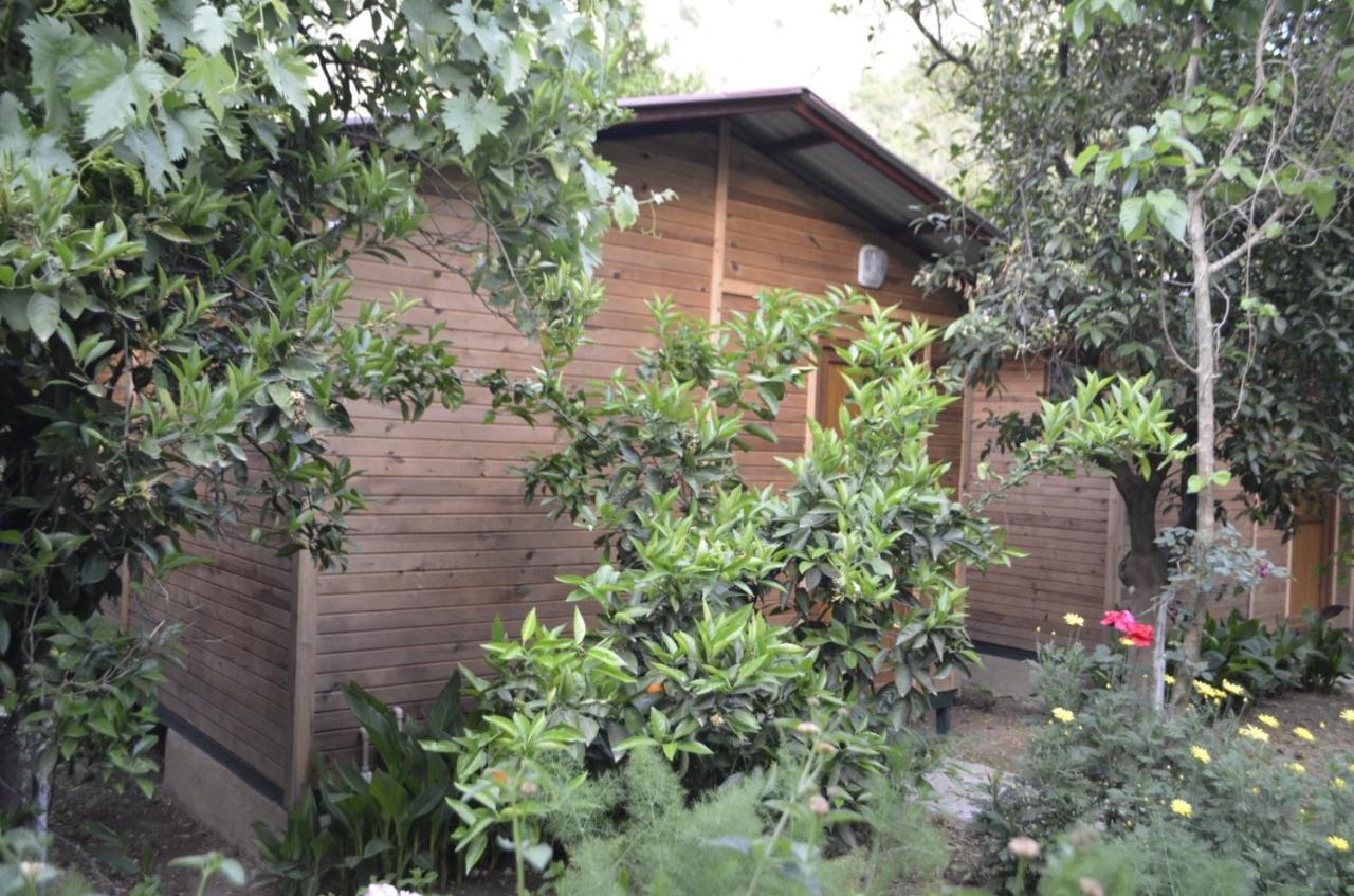 Mercan Pension Olympos Luaran gambar