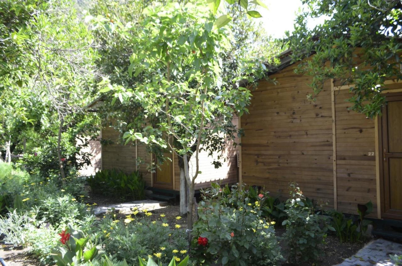 Mercan Pension Olympos Luaran gambar