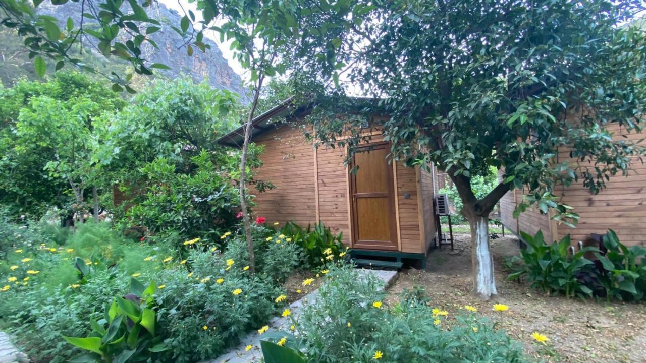 Mercan Pension Olympos Luaran gambar