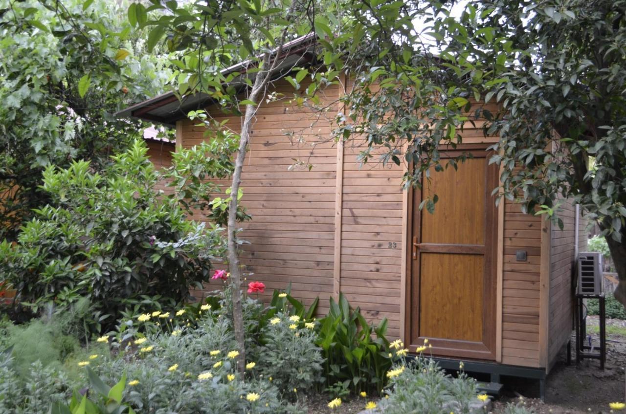 Mercan Pension Olympos Luaran gambar