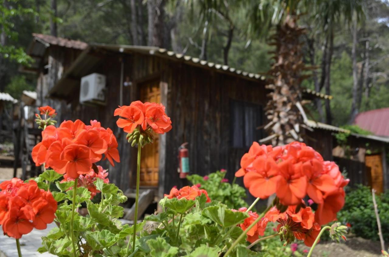 Mercan Pension Olympos Luaran gambar