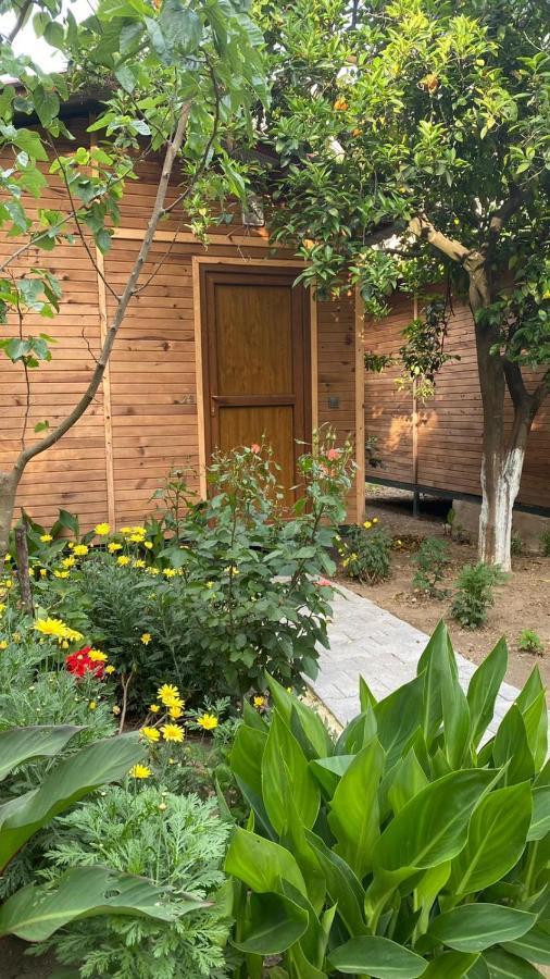 Mercan Pension Olympos Luaran gambar