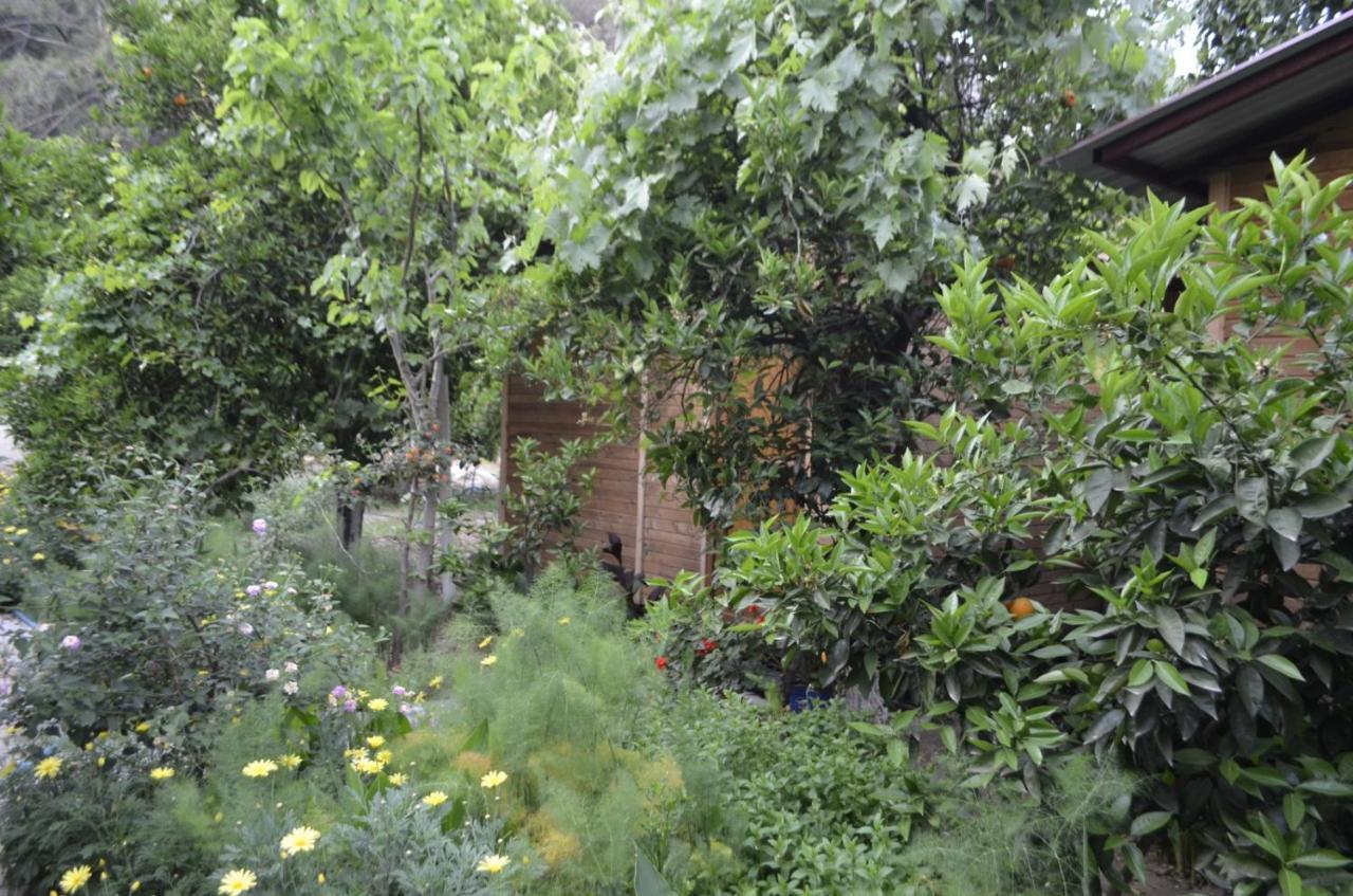 Mercan Pension Olympos Luaran gambar