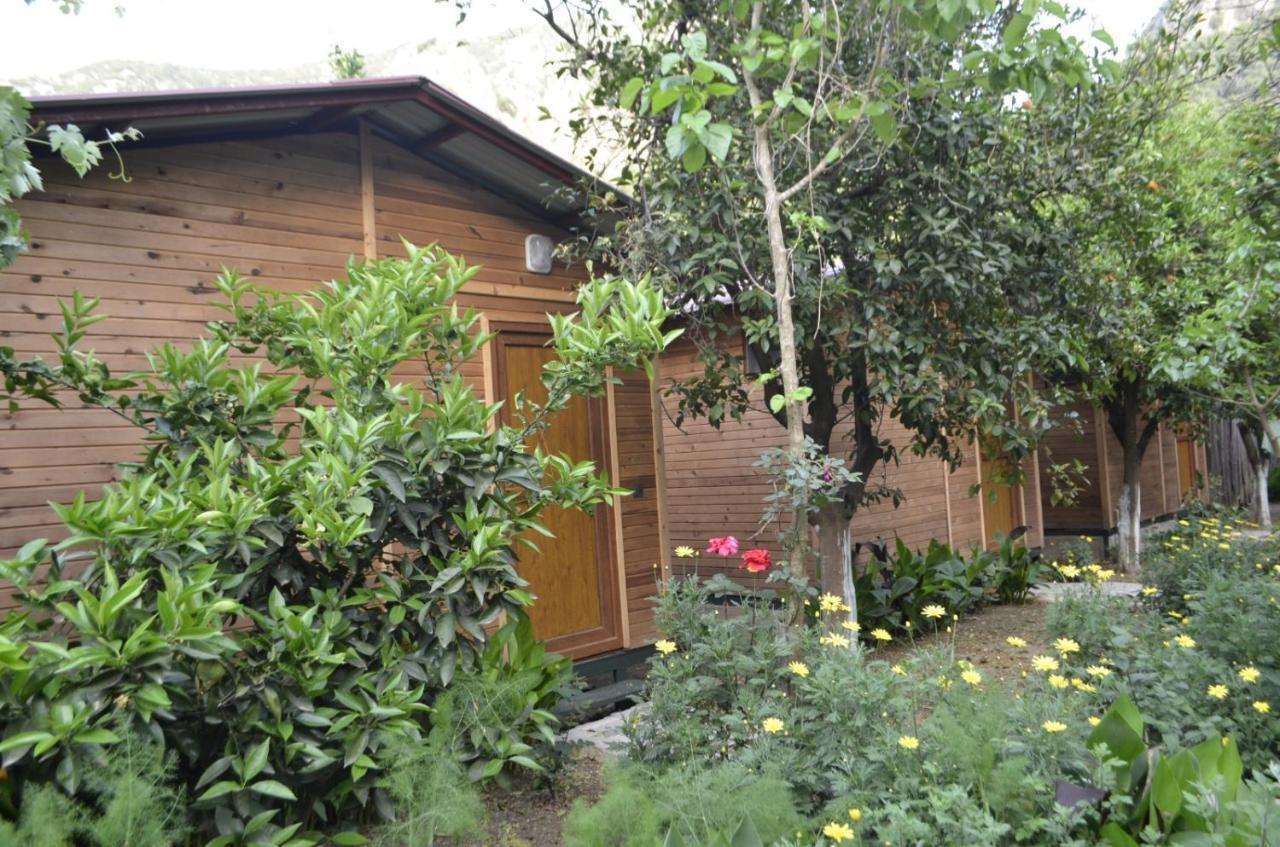 Mercan Pension Olympos Luaran gambar