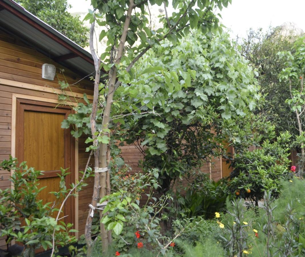 Mercan Pension Olympos Luaran gambar