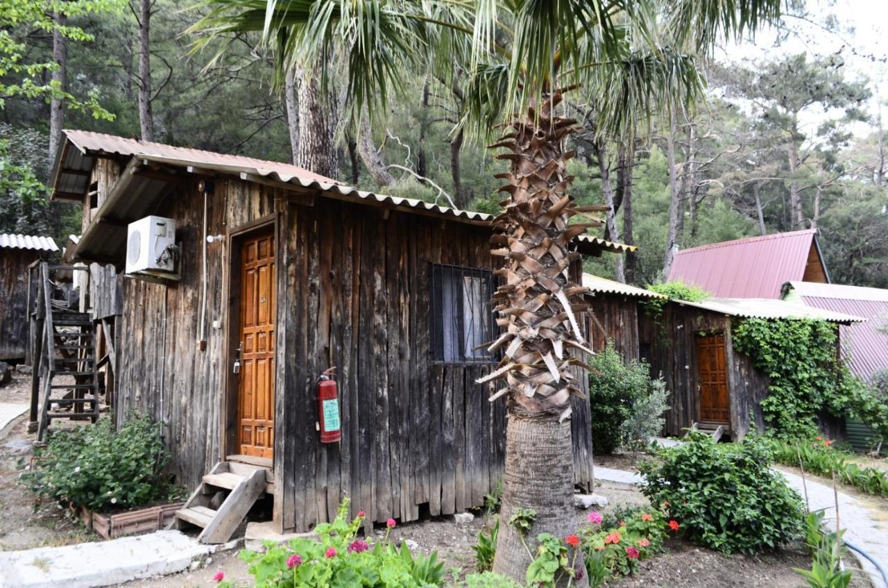 Mercan Pension Olympos Luaran gambar