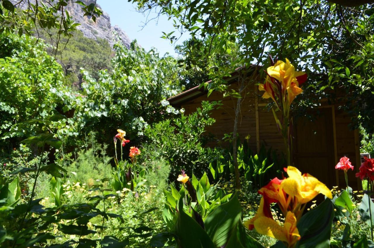 Mercan Pension Olympos Luaran gambar