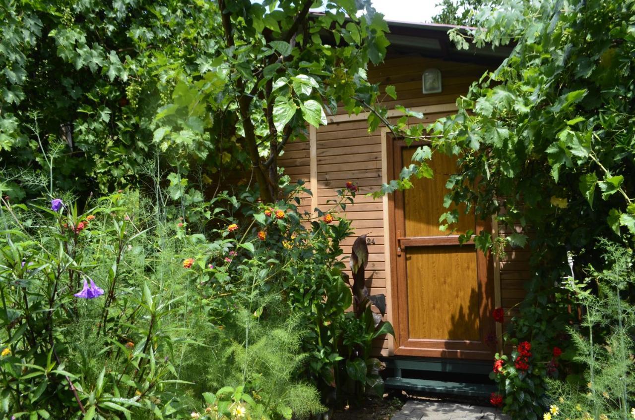 Mercan Pension Olympos Luaran gambar