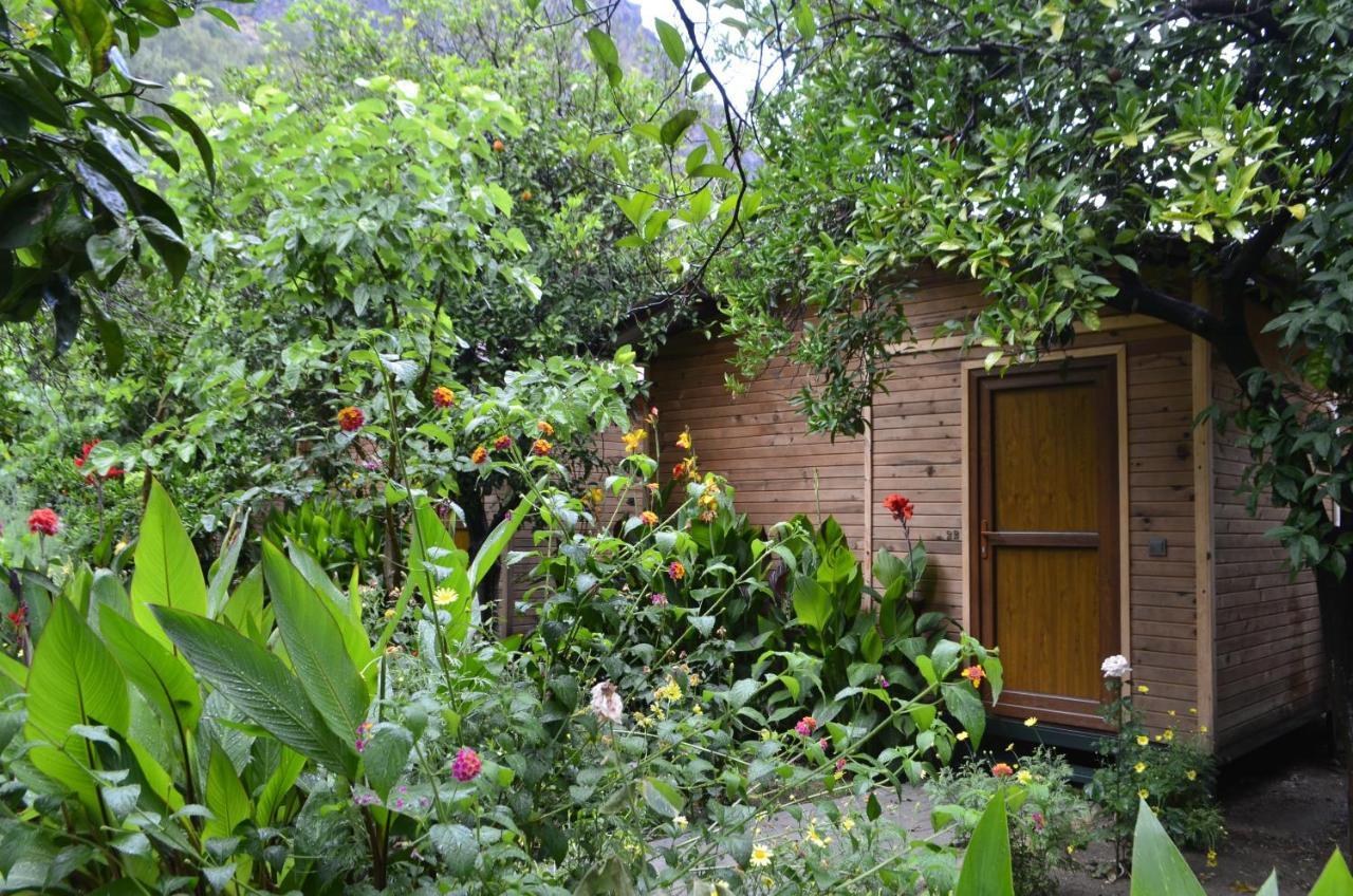 Mercan Pension Olympos Luaran gambar