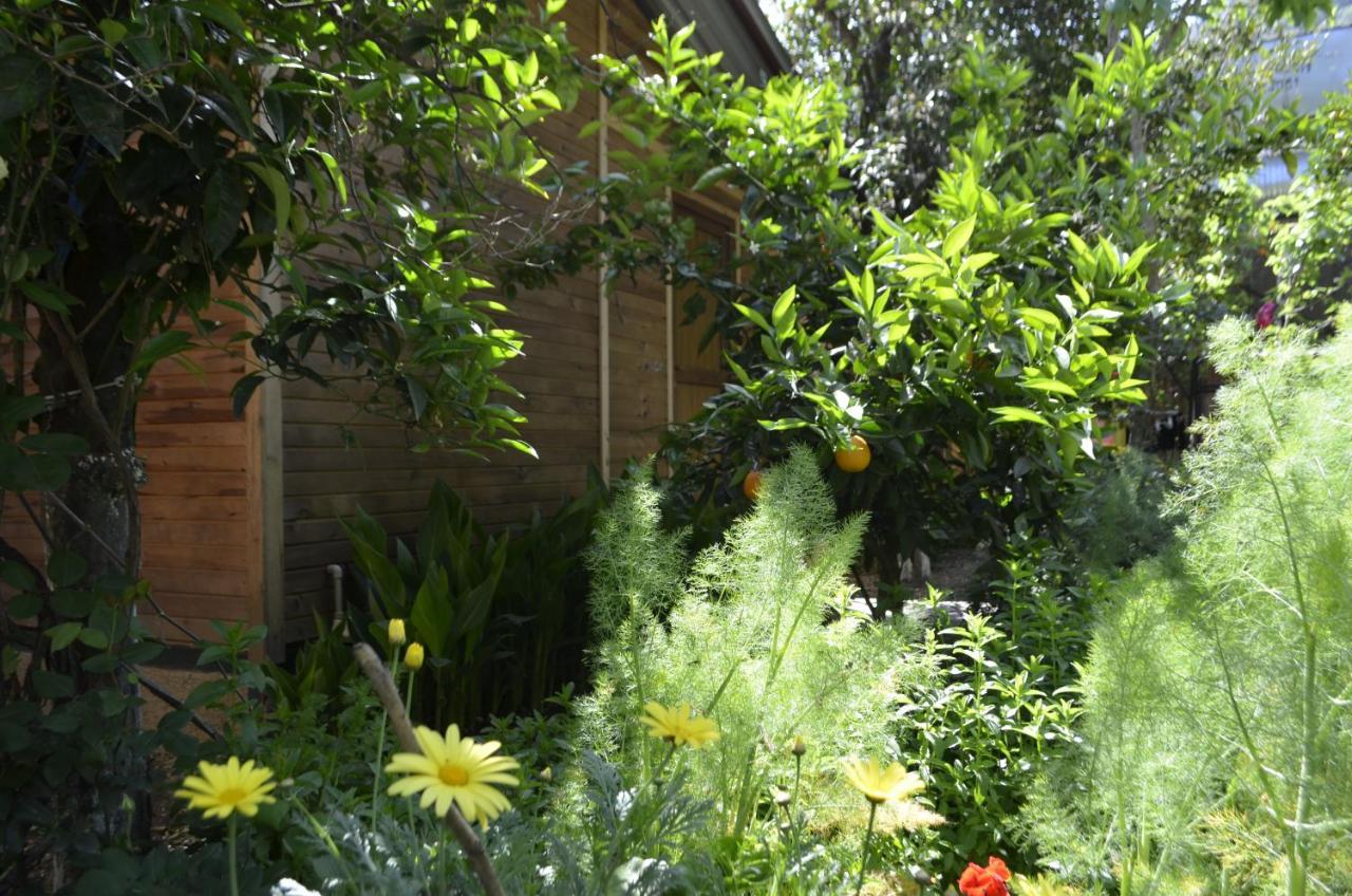 Mercan Pension Olympos Luaran gambar