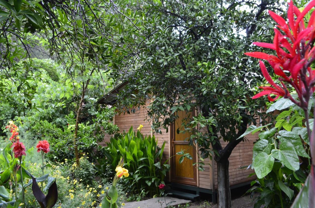 Mercan Pension Olympos Luaran gambar