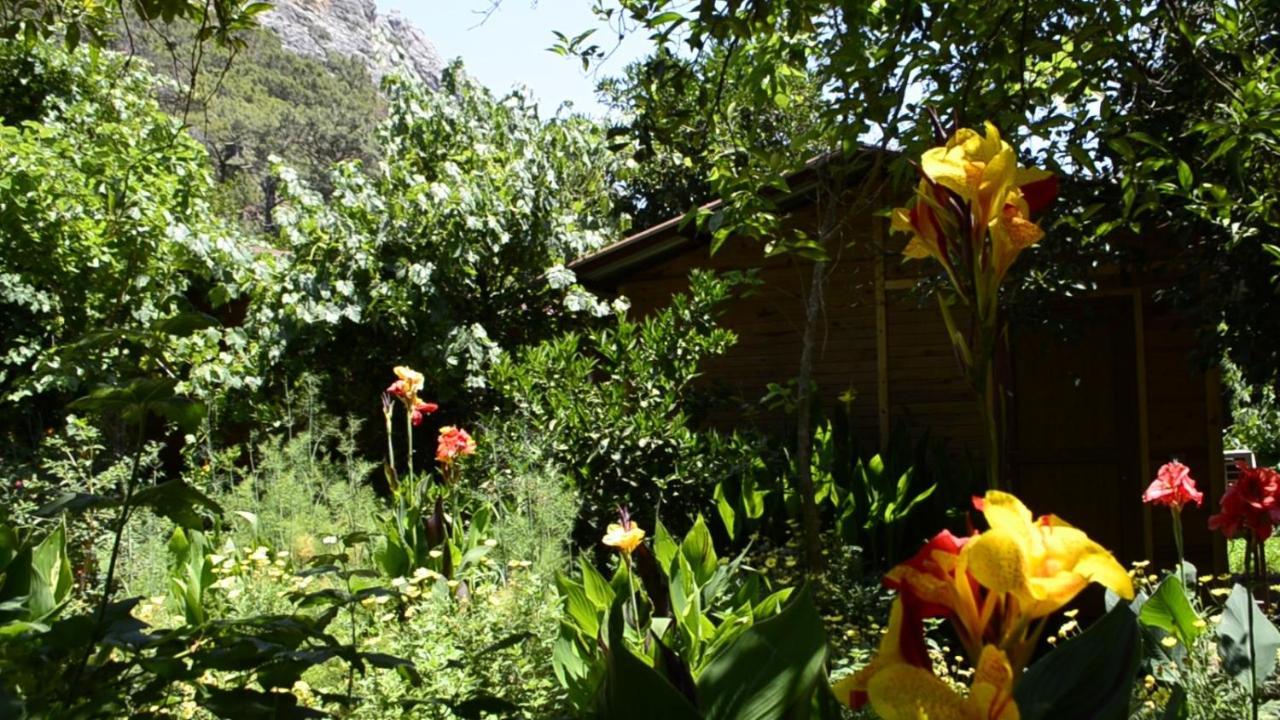 Mercan Pension Olympos Luaran gambar