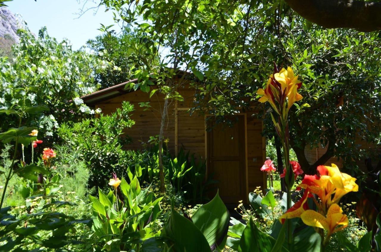 Mercan Pension Olympos Luaran gambar