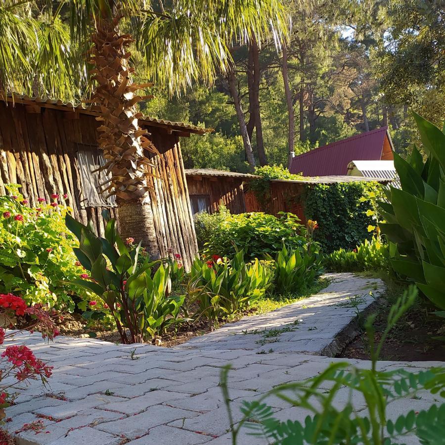 Mercan Pension Olympos Luaran gambar
