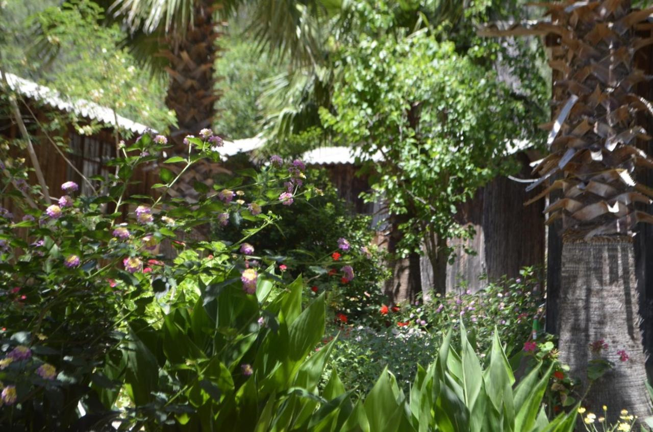 Mercan Pension Olympos Luaran gambar