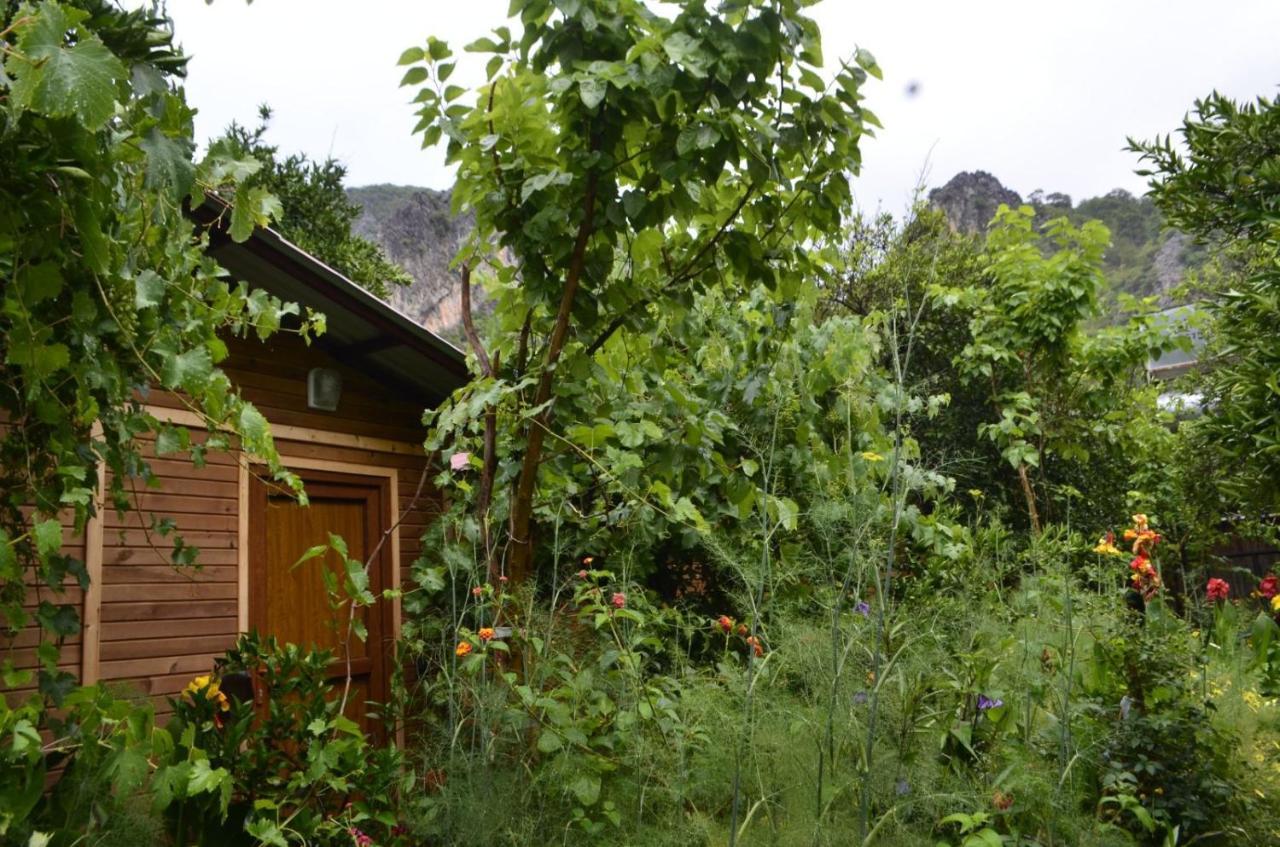 Mercan Pension Olympos Luaran gambar