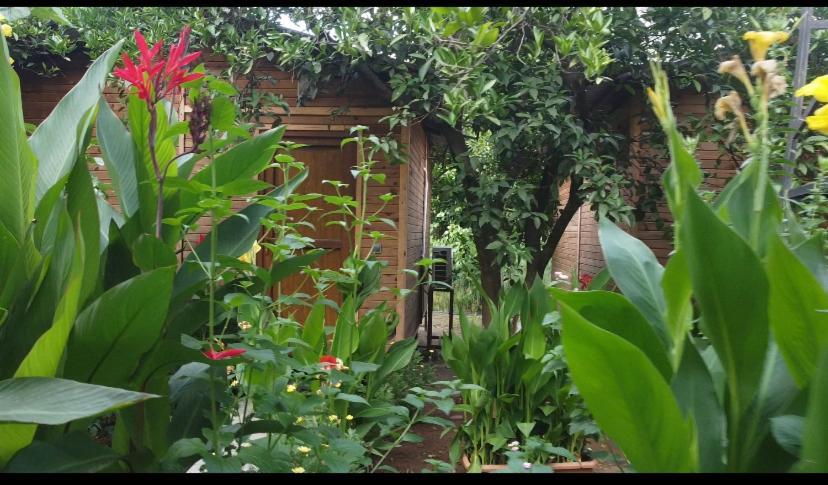 Mercan Pension Olympos Luaran gambar